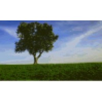 Always Growing Lawn and Landscape logo - Similar company to Microlife Organic Biological Fertilizer