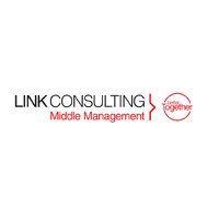 Link Consulting Perú logo - Similar company to Müllerhaus