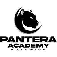 PANTERA ACADEMY KATOWICE logo - Similar company to Expert Links Sp. Z O.O.