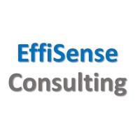 EffiSense Consulting logo - Similar company to Effisenseconsulting