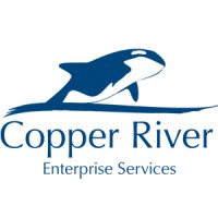 Copper River Enterprise Services logo - Similar company to Copper River Information Technology