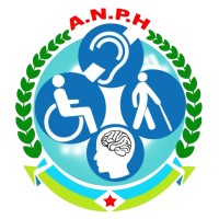 Agence Nationale des Personnes Handicapées logo - Similar company to Ansie