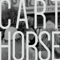 CART HORSE logo - Similar company to Starshine Media