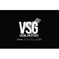 VIGILANT SG LIMITED logo - Similar company to Vigilant Global Solutions
