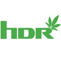 High Desert Relief logo - Similar company to Buds & Roses
