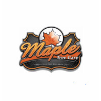 Maple Tree Care Midlands Ltd logo - Similar company to Brampton Valley Group Ltd