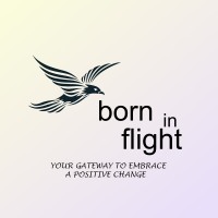 Born In Flight logo - Similar company to Mind Oriented Edutech
