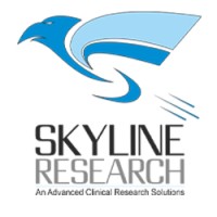 Skyline Research logo - Similar company to Rawat Associates