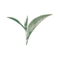 Tea Untitled logo - Similar company to Mr.Coconut