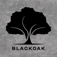 BlackOak Consulting Sdn Bhd logo - Similar company to Stellar Dynamics Solutions