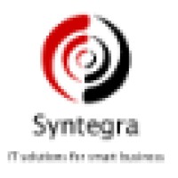Syntegra Solutions Inc.