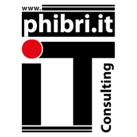 phibri IT-Consulting logo - Similar company to Bulut Consulting