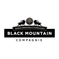 Black Mountain Compagnie logo - Similar company to Swiss One Plus Sa