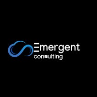 Emergent Consulting Inc. logo - Similar company to Promateus Limited