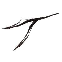 T-Devo