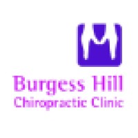 Burgess Hill Chiropractic Clinic logo - Similar company to Flex Physiotherapy Burgess Hill