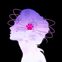 Women in Physics UPRM logo - Similar company to Women In Physics ⚛︎ Missouri S&T