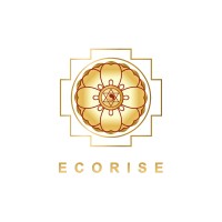 ECORISE GLOBAL ALLIANZ CO., LTD. logo - Similar company to Inclusive Cambodia