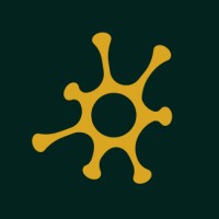 nuroverse logo - Similar company to Ploverai