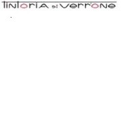 TINTORIA DI VERRONE S.R.L. logo - Similar company to De Amtex S.P.A.