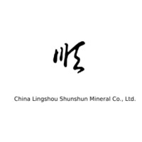 China Lingshou Shunshun Mineral Co., Ltd. logo - Similar company to Technomystery