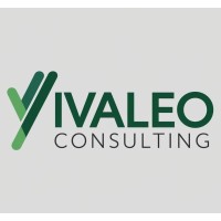 iValeo Consulting logo - Similar company to Microtech-Tel