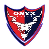 Onyx Security logo - Similar company to Shahkar Security Company (Pvt) Ltd