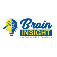 Brain Insight logo - Similar company to Mckbytes Technologies