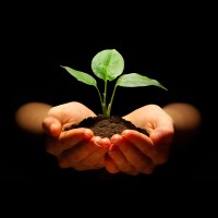 Achieving Results, Llc