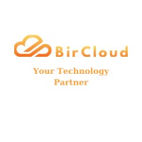BirCloud logo - Similar company to Incloud