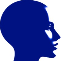 CarriedAI logo - Similar company to Sovity