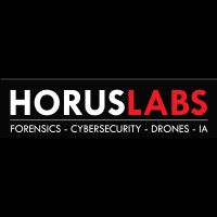 Horuslabs.tech logo - Similar company to Africa4It
