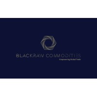 BLACKRAW COMMODITIES LIMITED logo - Similar company to Clv Group Sa