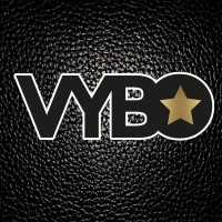VYBO logo - Similar company to Level Touch, Llc