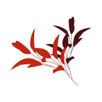 Red Gifting Solutions