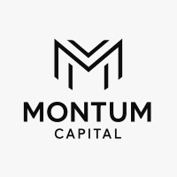 Montum Capital logo - Similar company to Birdiefy
