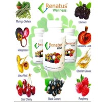 RENATUS WELLNESS GROUP logo - Similar company to Nomadic Marketer