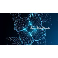 Sana-Company logo - Similar company to Sana Co. (Iran Power Plant Investment Company)