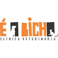 Clinica Veterinária É o Bicho logo - Similar company to E O Bicho