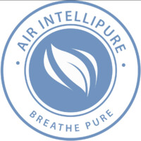 Air Intellipure Inc. logo - Similar company to Big Fig Mattress