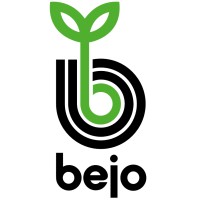 Bejo VN logo - Similar company to Dragonfli Limited