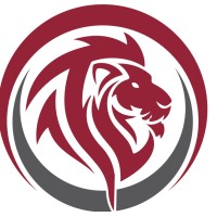 Lion Power Consulting LLC