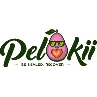 Pelakii, Inc. logo - Similar company to Cloud Team Fl - Cloudteamfl.Com
