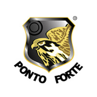 Grupo Ponto Forte logo - Similar company to Lpena Consultoria - Segurança E Medicina Do Trabalho