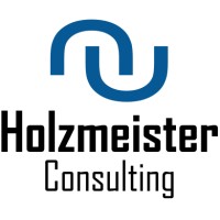 Holzmeister Consulting logo - Similar company to Compuritas