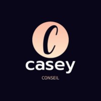 CASEY logo - Similar company to Infreelancing