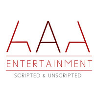 AAA Entertainment ZA logo - Similar company to Linetrale Llc