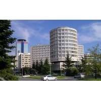 Executive Service Brescia