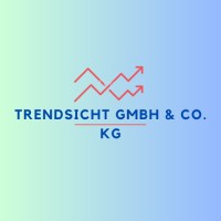 TrendSicht GmbH & Co. KG logo - Similar company to Techinnovate Analytics