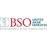 BSO Tax Consultants logo - Similar company to Pro Time Documents Clearing Services